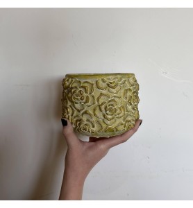 macetero relieve crasas